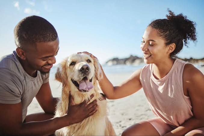 How to Build a Strong Bond with Your Pet