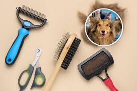 Grooming Basics for Different Types of Pets