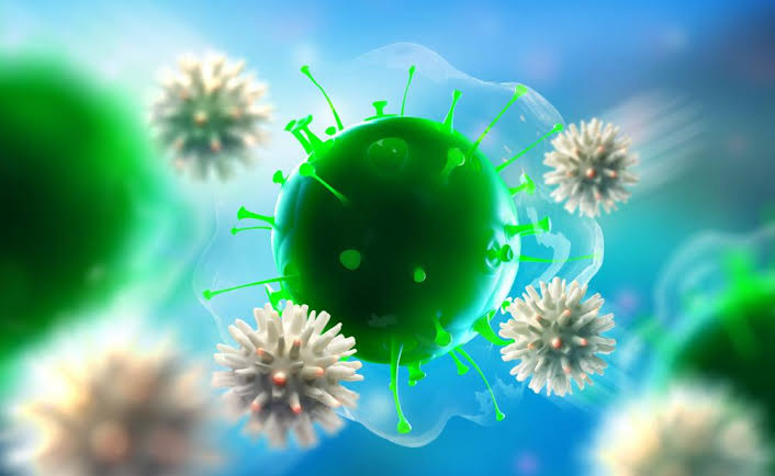 Natural ways to boost your pet’s immune system