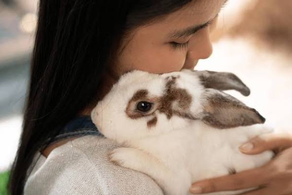 Bonding With Your Bunny: Tips for Training and Building Trust