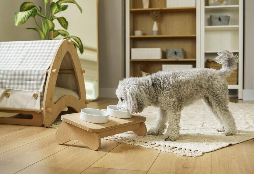 How to Create a Pet-Friendly Home Without Compromising Style.