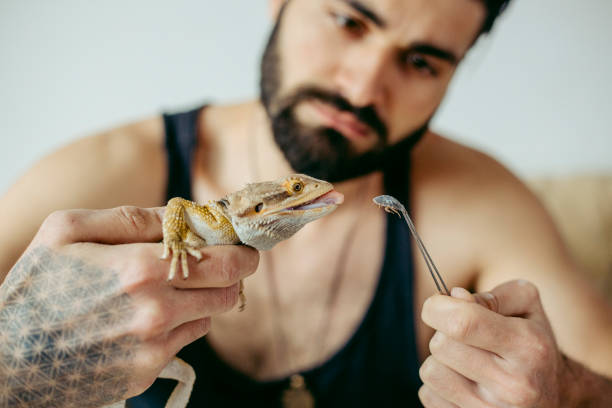 Feeding Reptiles Right: Why Dusting Supplements Could Be the Key to Your Pet’s Health