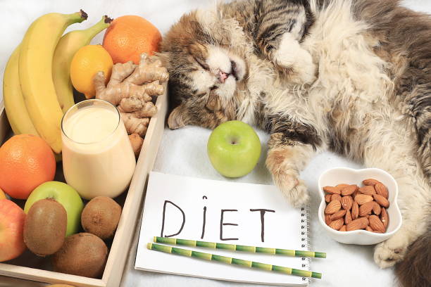 Boost Your Pet's Health: The Best Foods to Strengthen Their Immune System