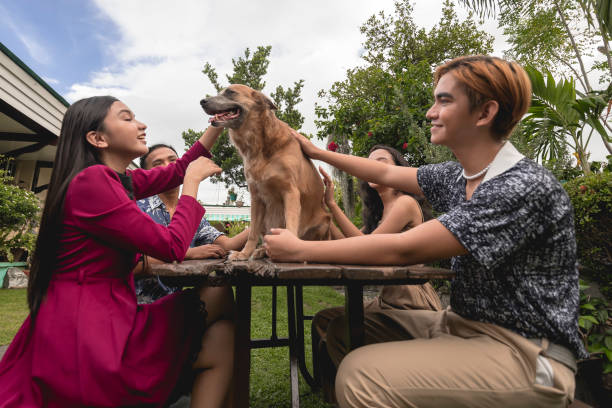 The Most Heartwarming Pet Reunion Stories That Will Make You Smile