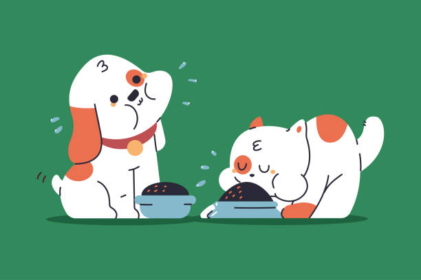 Overfed and Overweight: What Happens When You Overfeed Your Pet (And How to Reverse It Safely)
