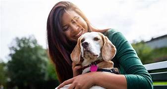The Benefits of Adopting a Senior Pet.