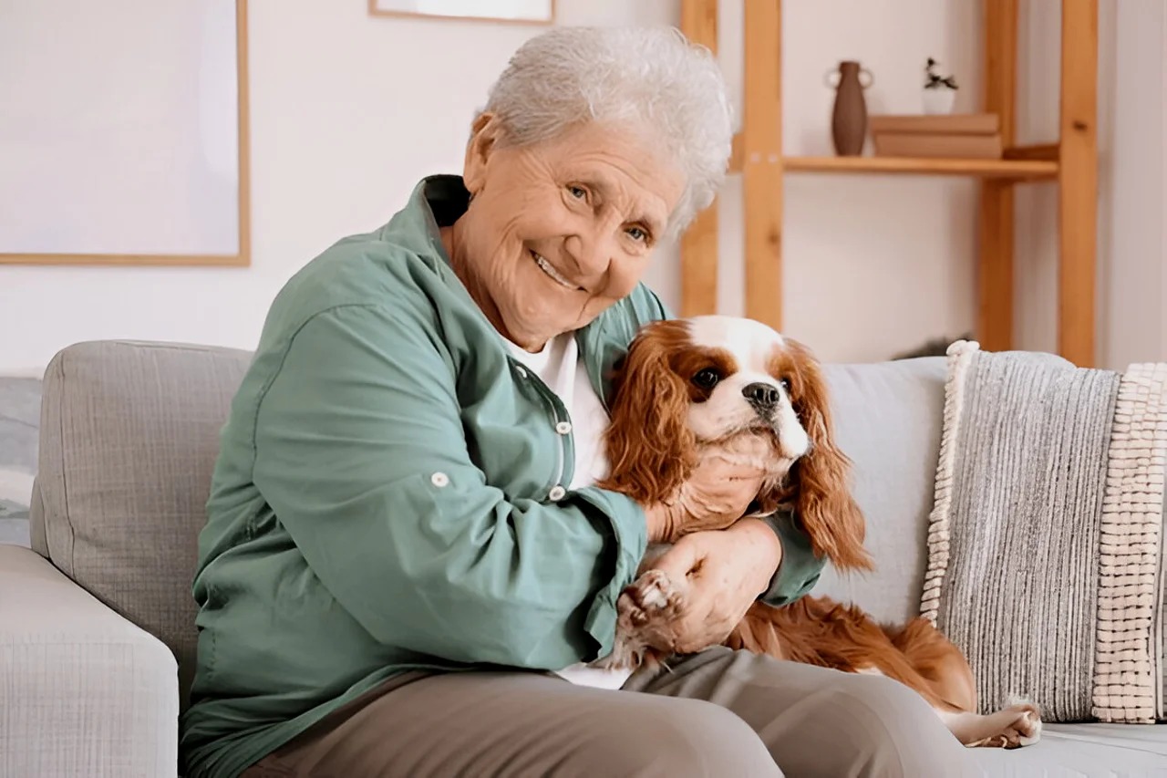 Senior Pet Care* – Comfort and health tips for aging pets.