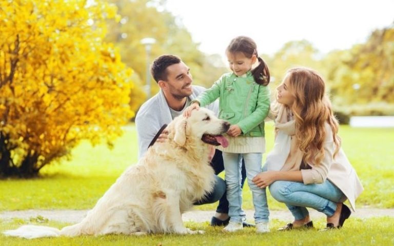 How Pets Strengthen Family Bonds.