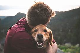 Top 3 Mistakes New Pet Owners Make.