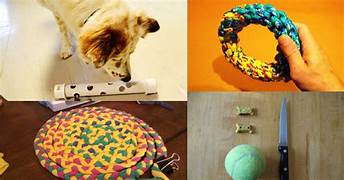 DIY Pet Toys and Treats You Can Make at Home.