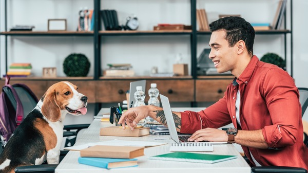 The Rise of Pet-Friendly Workplaces: What You Should Know.