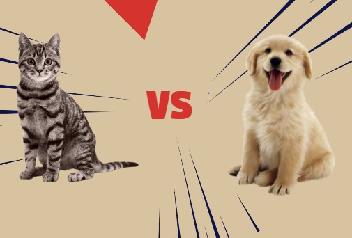 Dog vs. Cat Personalities: What Your Choice of Pet Says About You.