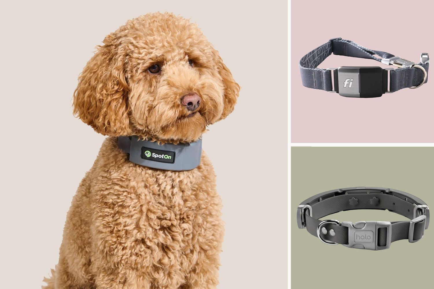The Rise of Pet Tech: Smart Collars, GPS Trackers & Health Monitors.