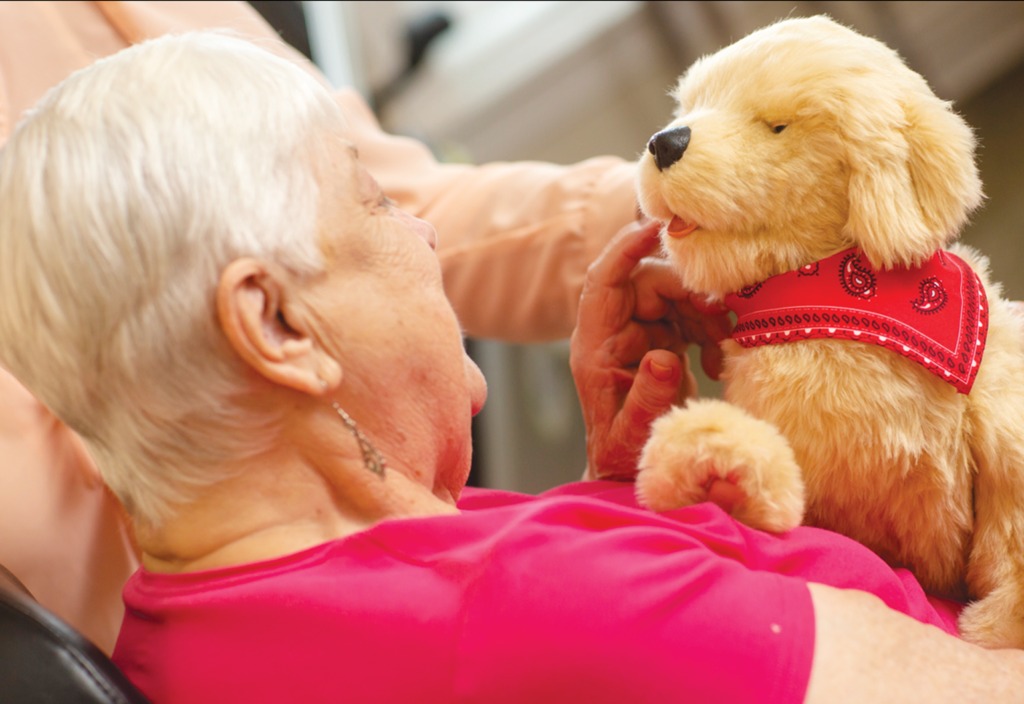 The rise of robotic pets / pet companions for elderly or isolated folks.