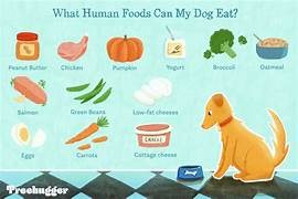 Superfoods for Pets: Healthy Human Foods They Can (and Can’t) Eat.