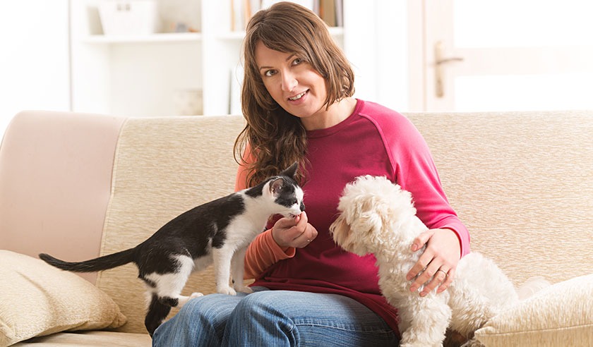 How to Introduce a New Pet to Your Household.