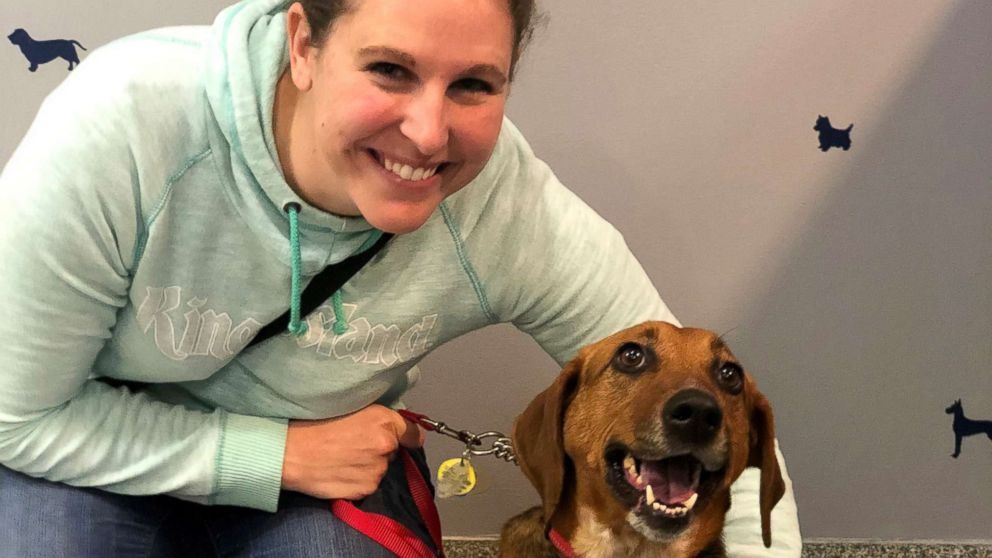 Rescue Stories: From Shelters to Forever Homes.
