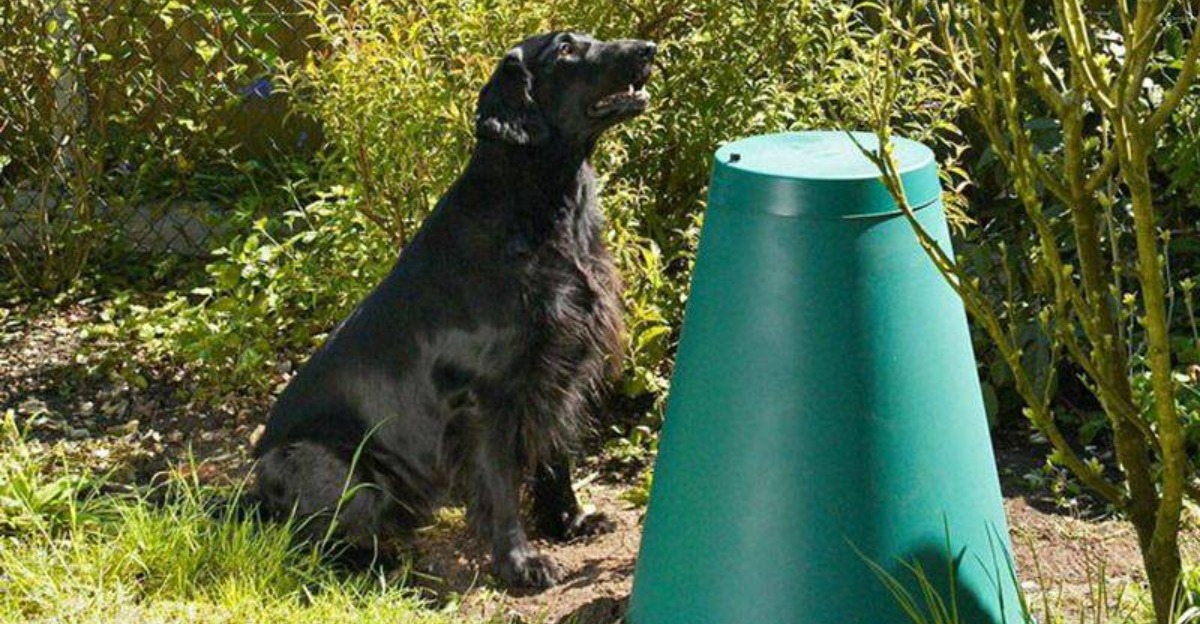 Composting Pet Waste: A Greener Way to Clean Up.