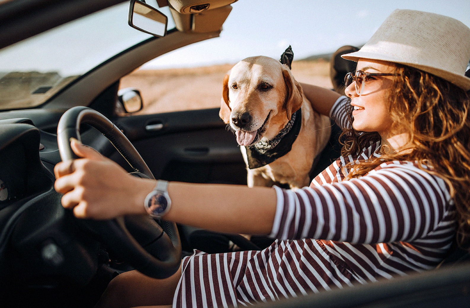 How to Travel Stress-Free with Your Pets.