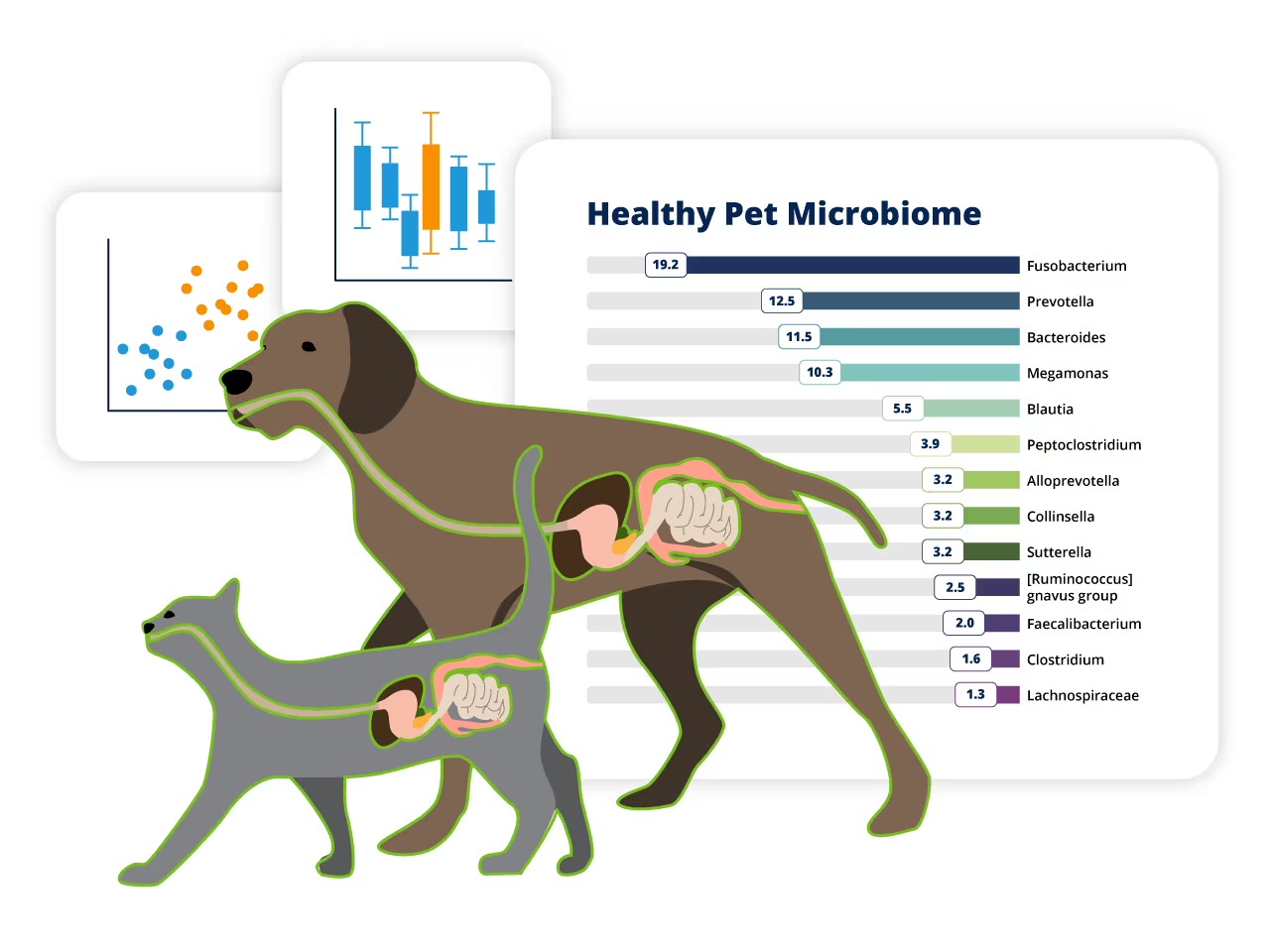 Faecal microbiome research in companion animals: what it means for pet health.