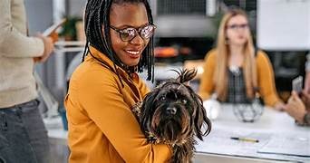 The Rise of Pet-Friendly Workplaces: How to Prepare Your Pup for the Office.