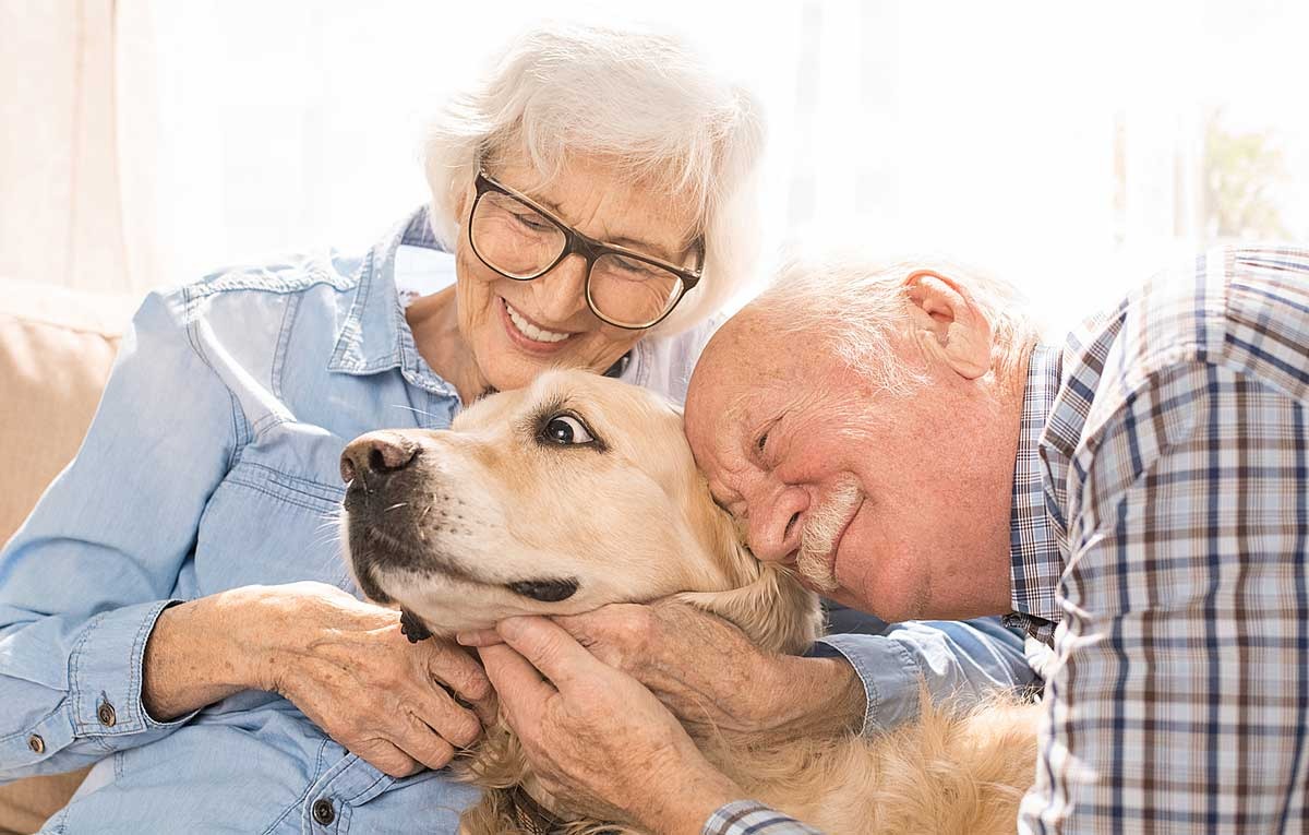Senior Pets Deserve Love Too: Caring for Aging Companions.