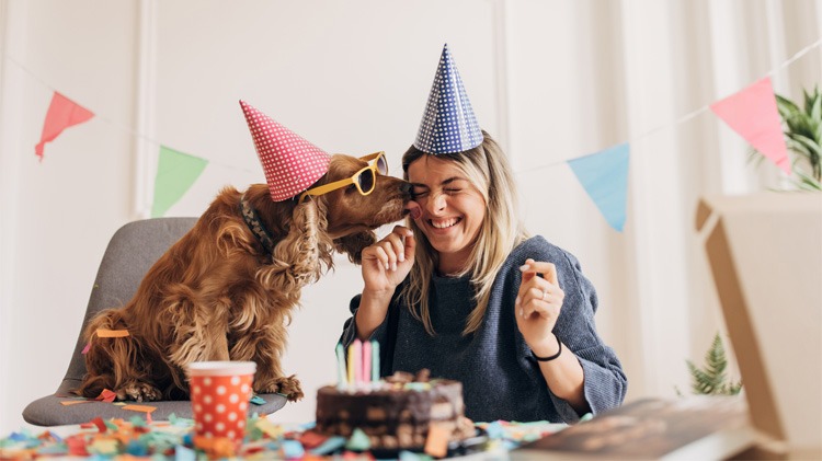 Pet Birthday & Gotcha Day Celebration Ideas.