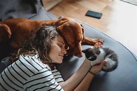 Citizen science projects involving pets or animals: how pet owners can contribute.