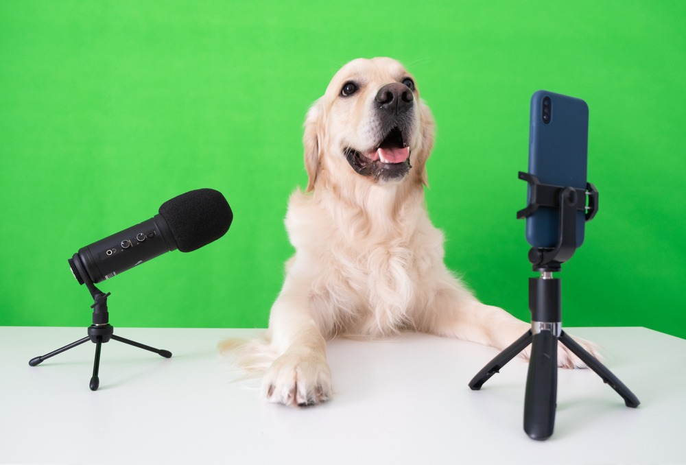 How Pets Are Becoming Influencers: Social Media Trends.