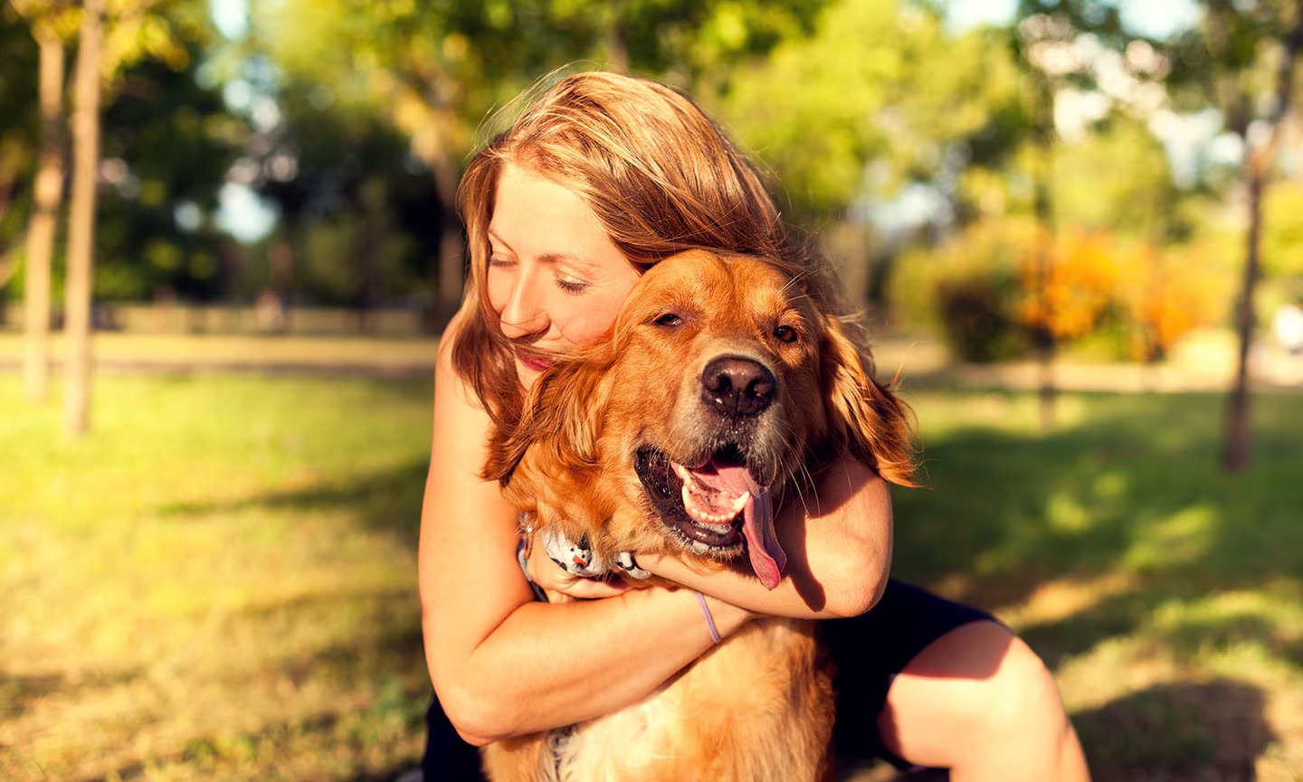 Love Your Dog – Recommended in curated lists of top dog blogs in 2025.