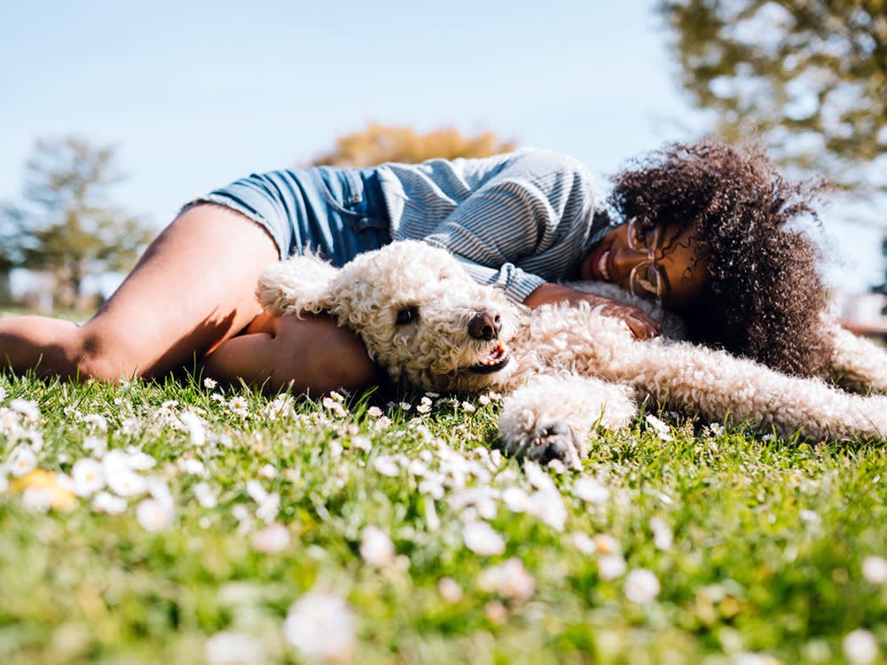 The Wildest – Modern pet parenting site with sections on health, nutrition, behavior, lifestyle, and new pets.