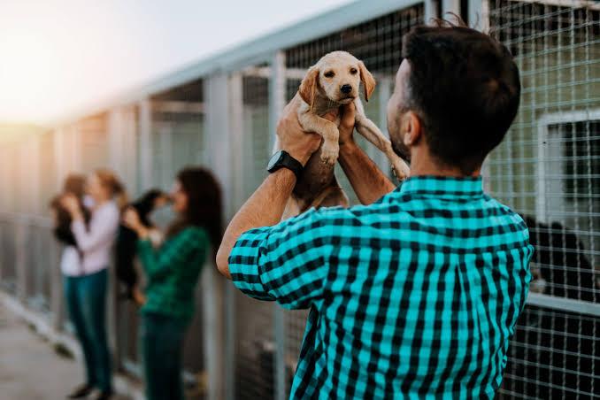 Adopt A Pet – A reliable source for adoption advice, pet care, training, health, and safety.